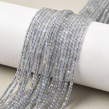 Natural Labradorite Beads Strands G-RM241221-A10-1