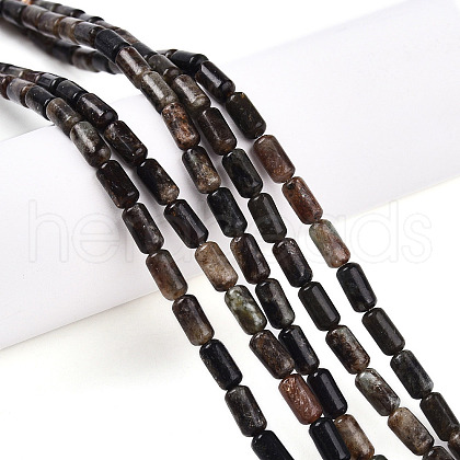 Natural Biotite Beads Strands G-N346-01A-02-1