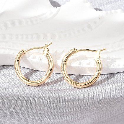 Brass Hoop Earrings X-KK-S356-150G-NF-1