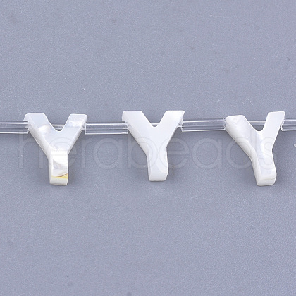 Natural Sea Shell Beads SHEL-T012-60Y-1