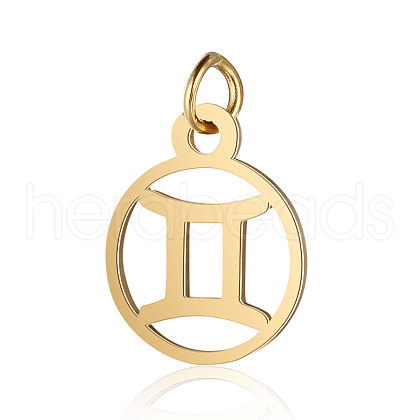 201 Stainless Steel Charms STAS-T036-T513-3-1