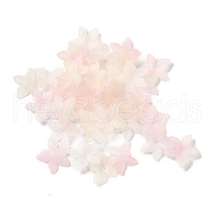 Transparent Acrylic Beads Caps OACR-B022-02B-1