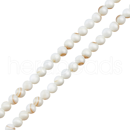 2 Strands Natural Freshwater Shell Round Beads Strands SHEL-HS0001-09-1