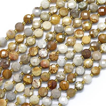 Natural Fossil Coral Beads Strands G-K389-B57-01-1