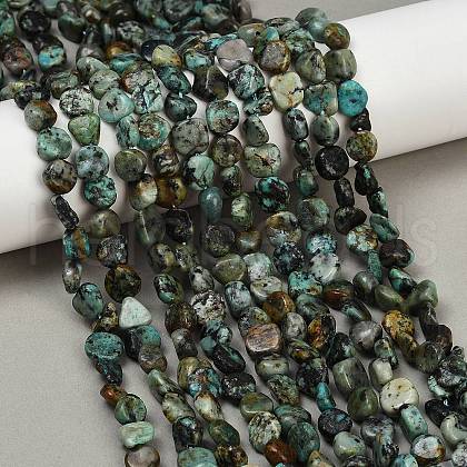 Natural African Turquoise(Jasper) Beads Strands G-Q060-E14-1