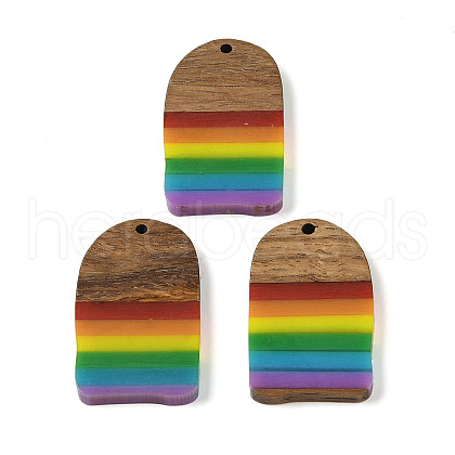 Pride Rainbow Theme Resin & Walnut Wood Pendants WOOD-K012-02-1