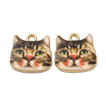 Alloy Enamel Pendants ENAM-V002-04G-04-1