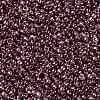 TOHO Round Seed Beads SEED-JPTR11-0201-2