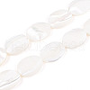 Natural Trochid Shell/Trochus Shell Beads SSHEL-N036-051-2