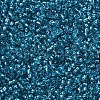 12/0 Glass Seed Beads SEED-US0003-2mm-23B-2