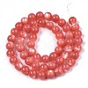 Natural White Shell Mother of Pearl Shell Beads Strands SSHEL-T012-06-2