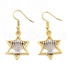 Alloy Dangle Earrings EJEW-Q802-04-1