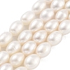 Natural Cultured Freshwater Pearl Beads Strands PEAR-P062-10F-2
