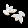Natural White Shell Carved Beads SSHEL-I026-29-2