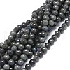 Natural Larvikite Beads Strands G-O201A-07B-1