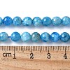 Natural Apatite Beads Strands G-I254-08H-2