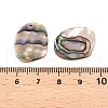 Natural Paua Shell Pendants SHEL-T020-11A-3