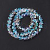 Faceted Glass Beads Strands X-EGLA-E030-01D-3