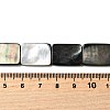 Natural Black Lip Shell Beads Strands BSHE-D300-03-13x18mm-4