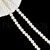 Glass Pearl Beads Strands SHEL-WH0001-009B-1-1