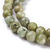 Natural Idocrase Beads Strands G-N165-7-2