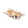 Beetle Enamel Pins JEWB-E041-14KCG-02-3