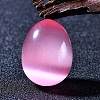 Egg Cat Eye Display Decorations PW-WG28010-08-1