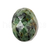 Natural African Turquoise(Jasper) Cabochons X-G-B032-B01-05-2
