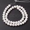 Natural Howlite Beads Strands G-G770-06-2