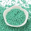 Baking Paint Glass Seed Beads X-SEED-S042-05B-60-2