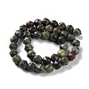 Natural Dragon Blood Beads Strands G-NH0021-A10-02-3