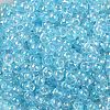 6/0 Glass Seed Beads SEED-T006-04F-03-3
