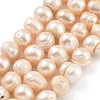 Natural Cultured Freshwater Pearl Beads Strands PEAR-C003-14B-2