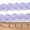 Handmade Lampwork Beads Strands LAMP-Z011-01C-4