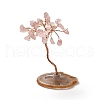 Natural Rose Quartz Chips Tree Display Decorations DJEW-C003-01E-1