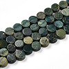 Natural Shoushan Jade Beads Strands G-N346-06A-01-2