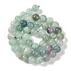 Natural Fluorite Beads Strands X-G-P530-B04-03-4