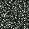 MIYUKI Round Rocailles Beads SEED-G007-RR1087-4