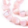 Natural Trochid Shell/Trochus Shell Beads Strands SSHEL-N032-49-A05-3