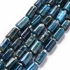 Natural Apatite Beads Strands G-S345-8x11-003-1