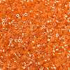 Electroplate Glass Seed Beads SEED-H003-10B-2
