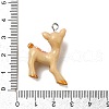 Opaque Resin Pendants FIND-I044-29-3