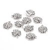 Tibetan Style Alloy Beads TIBE-I025-17AS-1