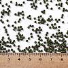 TOHO Round Seed Beads X-SEED-TR11-0617-4