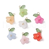 Acrylic Pendants PALLOY-TA00145-1