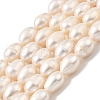 Natural Cultured Freshwater Pearl Beads Strands PEAR-I007-01E-05A-2