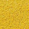 MIYUKI Round Rocailles Beads X-SEED-G008-RR0422D-4