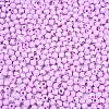 Baking Painted Glass Seed Beads SEED-C004-01K-2