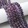 Natural Amethyst Beads Strands X-G-M445-8MM-01B-1