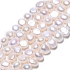 Natural Cultured Freshwater Pearl Beads Strands PEAR-N014-03D-2